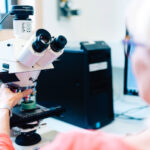 Transformative Applications of Artificial Intelligence in Healthcare and Medicine