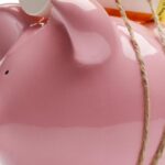 The Challenges and Implications of Single-Payer Healthcare Systems